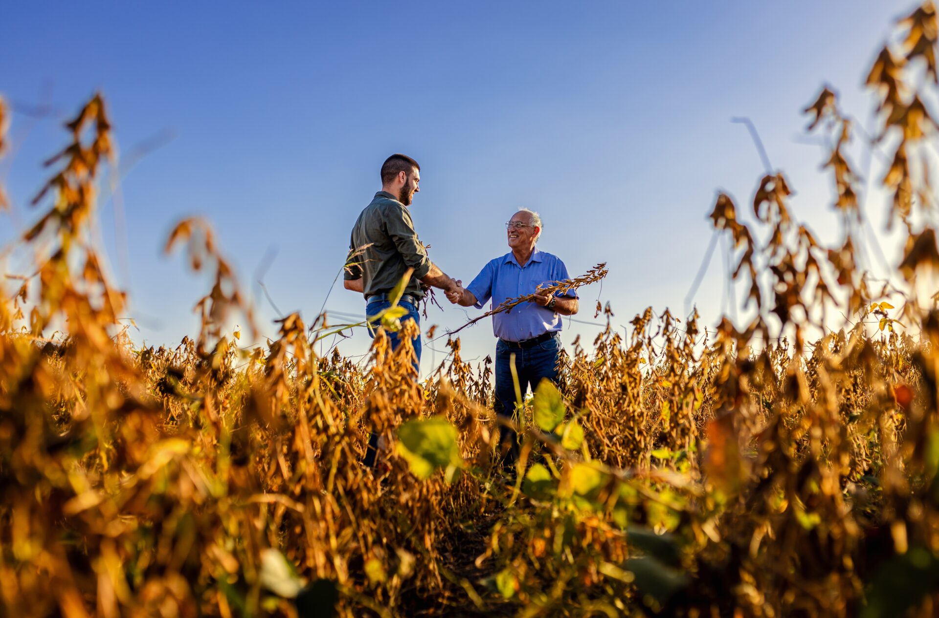 two,farmers,in,soy,field,making,agreement,with,handshake,before